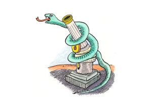 Snake on microscope